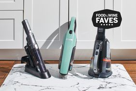 Best Handheld Vacuums