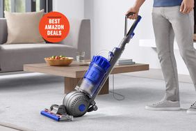 Amazon Dyson Ball Animal 2 Total Clean Upright Vacuum Cleaner Tout