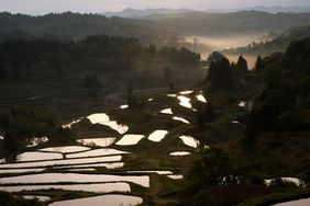 NIIGATA, JAPAN - Rice terraces are seen at Matsudai Tanada region