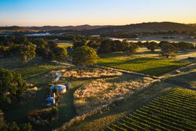 The Clonakilla vineyard in Murrumbateman, 45 minutes north of Canberra, Australia